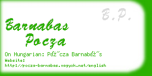 barnabas pocza business card